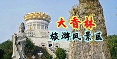 插逼流水的视频中国浙江-绍兴大香林旅游风景区